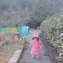 안포 농장 이미지