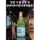 창원 이색 박물관 술꾼들 다 모여 창원 굿데이 뮤지엄