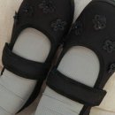 메리제인플라워