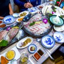 단풍약국 Daum카페