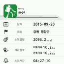 폴리안나 이미지
