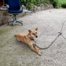 용호농장 2 이미지