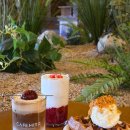 미르 | 공주 메타세콰이어길 카페미르 방문 후기