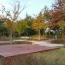 광주시민의숲 야영장 이미지