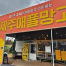 새벽농장 | 오설록근처 애플망고 파는곳 &#34;제주새벽농장&#34;