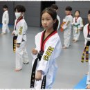 브레인태권도장 이미지