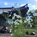 정목초교 이미지