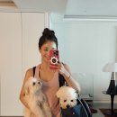 바디 밸런스 UP 요가&필라테스 이미지