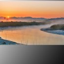 시흥 갯골생태공원 이미지