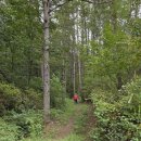 충북 단양군 두악산(723m) 코스/2025.10.4.토 이미지