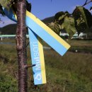 지화마을회관 이미지