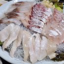 초리상회 이미지