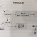 누리담한의원 이미지