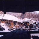 산들바람 이미지