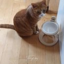 오블리 동물병원 이미지