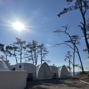 포항시남구35 | 포항 남구 오션뷰 titf카라반 숙소 추천 해돋이 명소 구역 추천