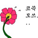남풍횟집
