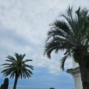 항해진미 이미지