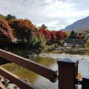 원조전주음식관 이미지