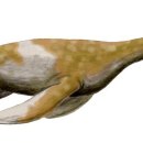 메로스(meros) 이미지