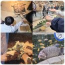 주화물고기 | 동탄 실내동물원 라크몽 아이와 가볼만한곳 주렁 주화 이벤트