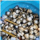 태안힐링캠프 이미지