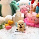 까까뭐멍냥 이미지