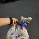 투접시족발 이미지