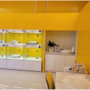 플랜멍 강아지분양 포항점 이미지