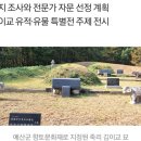 대구서씨 정려 이미지