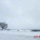 눈꽃여행 이미지