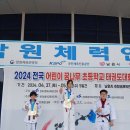 고려대 솔빛 태권도 이미지