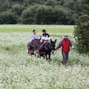 북간도목장 이미지