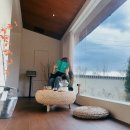 스테이더담 청도청라점 | 대구근교 청도여행 한옥 숙소 자쿠지 스테이더담 청도 청라점