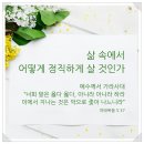 영화천국 이미지