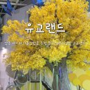 관광단지로(성곡동) | 경북 안동 아이와 가볼만한곳 하루 순삭 즐길거리 다양한 안동 문화관광단지 유교랜드