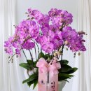 플라워피부과의원 이미지