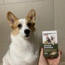 이뮤노팜 이미지