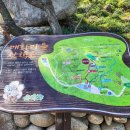 현천마을 | 3월 봄여행 추천코스 영상(광양매화축제/구례산수유축제/현천마을산수유)