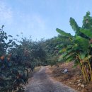 오곡면 침곡리 마을회관 이미지