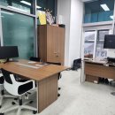 안파트너스