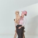 카메라떼세종첫 | 세종 꽃구름 셀프 스튜디오 | 강아지 셀프 촬영 11살 푸들과 남긴 추억