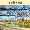 갈산리마을회관 | ​당진 사람만 아는 벚꽃 명당? 왕복 20km가 된다는 당진천에서 만나본 벚꽃길! (26.4.8.다녀옴)