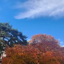 영주 소수서원 이미지