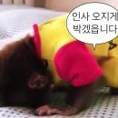 동인카센터 이미지