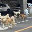 무리개농장 이미지