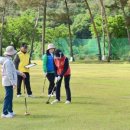 청송군파크골프장 이미지