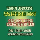 지하철2호선가야역 | [공지] 2026년 2월 홀리스틱 두개천골요법(CST) 기본과정 안내 - 부산에서 깊은 치유를 경험하세요.