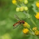 못골스크린골프연습장 이미지