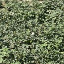 신강농장 이미지